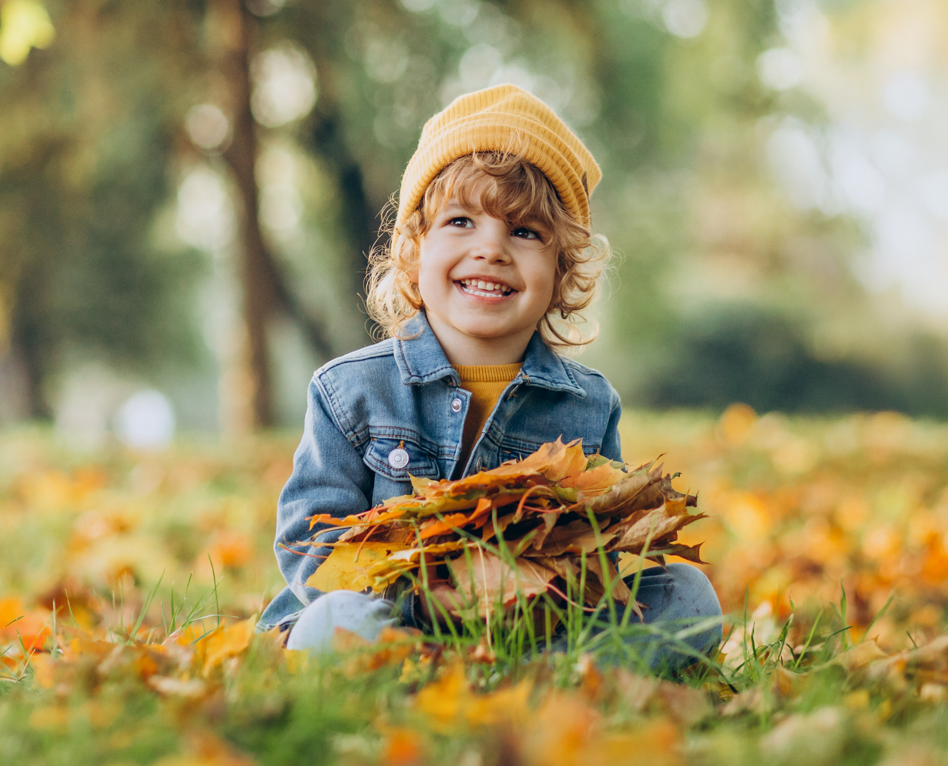 Aktionen-Herbst
